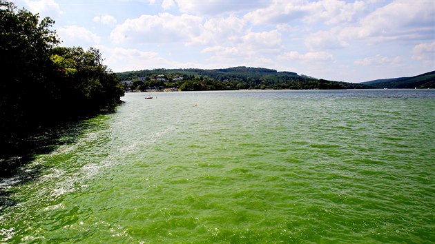 V Brněnské přehradě kvůli zelené vodě plné sinic hygienici zakázali po deseti letech koupání.
