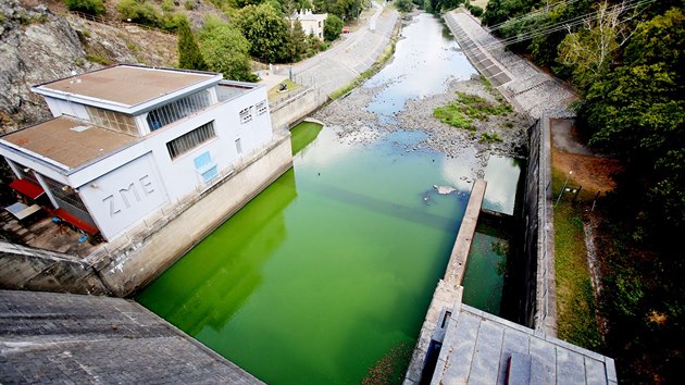 V Brněnské přehradě kvůli zelené vodě plné sinic hygienici zakázali po deseti letech koupání.