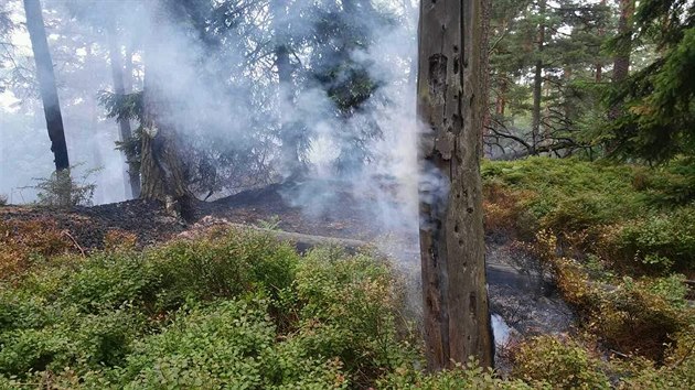 V Národním parku České Švýcarsko vypukl požár. Na místě zasahoval hasičský vrtulník. (17. července 2018)