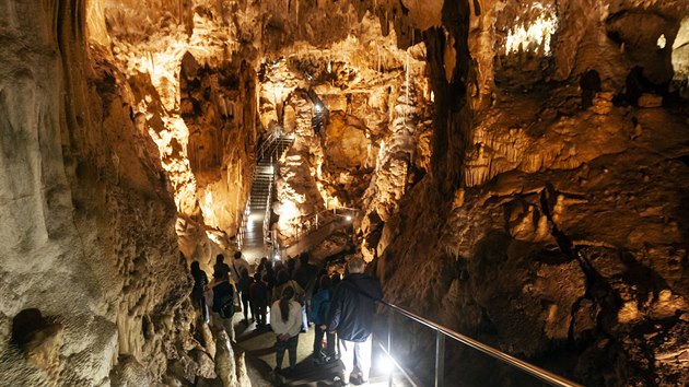 Pohled na Dm gigant, kter je nejvtm prostorem nvtvnickch tras Javoskch jeskyn. Je tm 60 metr dlouh, 36 metr irok a a 18 metr vysok.