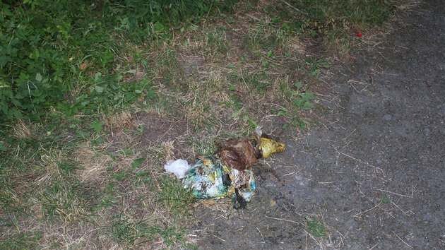 Psa zabalenho v igelitce ve znanm stdiu rozkladu nali nhodn kolemjdouc v pondl v zmeckm parku v Boru u Tachova. Zve mlo hlavu omotanou pskou.