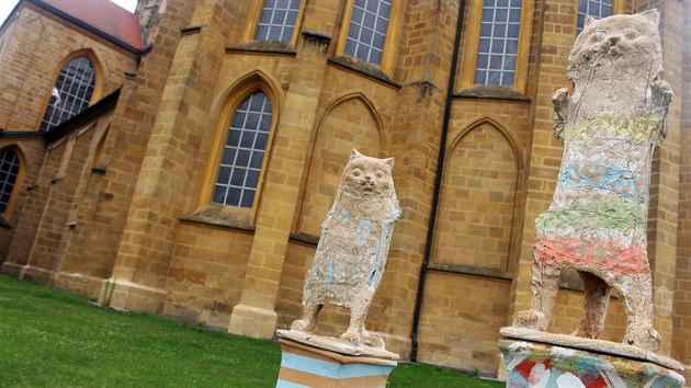 Šest koček oživilo klášterní kostel Nanebevzetí Panny Marie v Kladrubech.