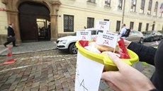 Protest ped Poslaneckou snmovnou v Praze proti stedenímu hlasování o dve...