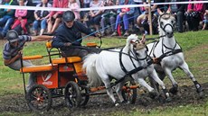 Dolní Lomná, 14.7.2018, Vozatajské závody