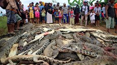 V indonéské chovné farm zabil krokodýl lovka. Tamní obyvatelé se rozhodli...