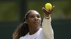Na servisu. Američanka Serena Williamsová nasázela  v semifinále tenisového...