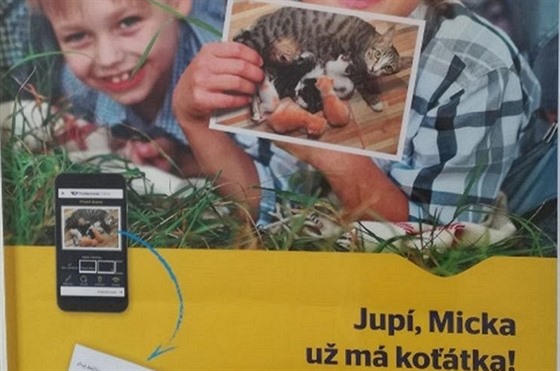 Plakát, který pobouřil ochránce koček.