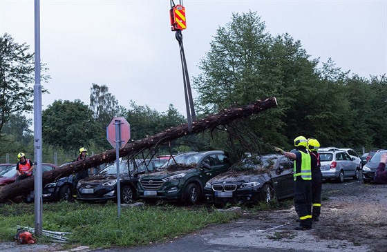Vyvrácený strom poblíž odletové haly Letiště Leoše Janáčka Ostrava v Mošnově na...