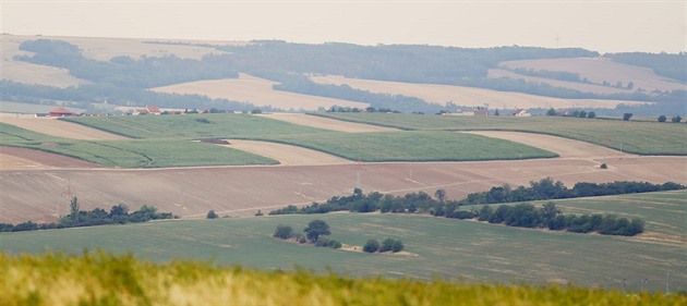 Kukuiné pole nad Oslavany protínají pásy jiné barvy. Jde o takzvané peruení...