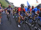 Italský cyklista Vincenzo Nibali na Tour de France.