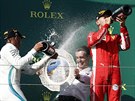 Britský jezdec Lewis Hamilton si uívá vítzství v Maarsku. Sebastian Vettel...
