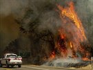 Požár na severu Kalifornie už zničil zhruba pět set budov (27. července 2018).