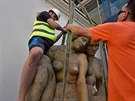 Na st�hov�n� souso�� �Dva �ensk� akty� muselo muzeum zajistit autoje��b o...