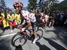 Francouzský cyklista Julian Alaphilippe bhem 16. etapy Tour de France