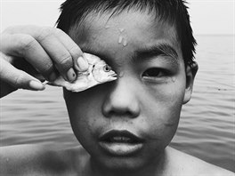 Fotograf roku - 2. místo: Huapeng Zhao a snímek s názvem Eye to eye