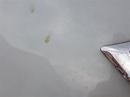 Auto erstv umyt automatickou kartovou mykou.