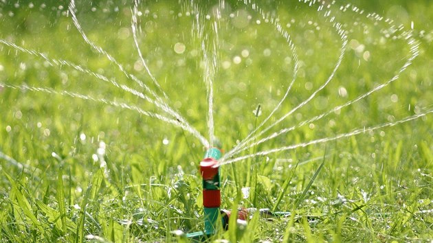 Kdo se pe�liv� star� o tr�vn�k, nezanedb�v� zavla�ov�n� ani o dovolen�.