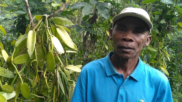Farmář Jao Nasaina střeží svou vanilkovou plantáž s podomácku vyrobenou pistolí a oštěpem. (14. července 2018)