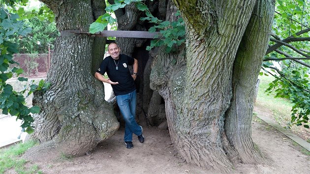 Zdeněk Dědeček u jednoho ze symbolů Tatobit, tisícileté lípy. Ta před dvěma lety jako první český strom skončila na stříbrné příčce v anketě Nejkrásnější strom Evropy. 