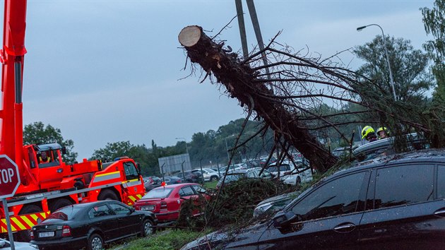 Vyvrácený strom poblíž odletové haly Letiště Leoše Janáčka Ostrava v Mošnově na Novojičínsku poškodil v pátek několik zaparkovaných aut. (27. července 2018)