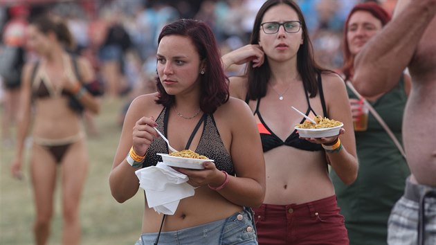 Festival Hrady CZ ve vihov na Klatovsku. (28. ervence 2018)