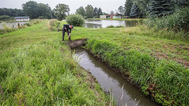 Starosti s přítokem vody mají rybáři na pěti rybnících u Týniště nad Orlicí (18.07.2018).