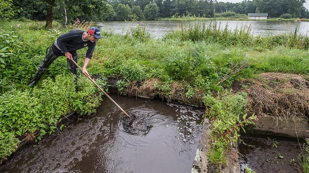 Starosti s přítokem vody mají rybáři na pěti rybnících u Týniště nad Orlicí (18.07.2018).