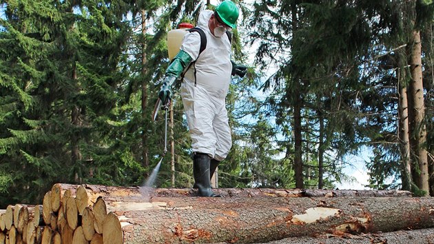 Kalamita je celoevropského rázu a zavinila prudké propady dřevní hmoty. Lesníci žádají stát o pomoc.
