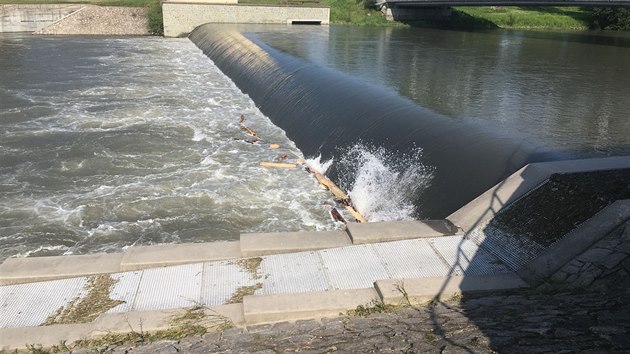 Splav, pobl kterho se topila dvojice mu.