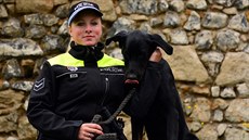 Lancelot s psovodkou, m�stskou policistkou Lenkou Gahlerovou.