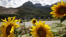 KOLEM SLUNEČNIC. Cyklisté ve 13. etapě Tour de France zdolávali 169,5 kilometrů.