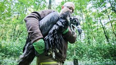 Mlád� supa bude vypu�t�no do p�írody.