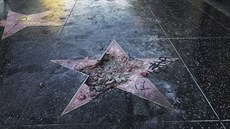 Pokozená hvzda Donalda Trumpa na hollywoodském chodníku slávy (Los Angeles,...