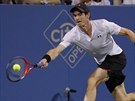 Andy Murray v prvním kole na turnaji ve Washingtonu