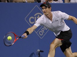 Andy Murray v prvnm kole na turnaji ve Washingtonu