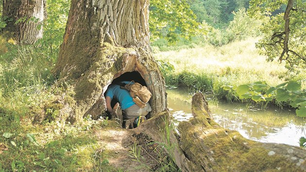 Dky geocachingu se zaruen dostanete i na msta, kam byste se jinak nepodvali.