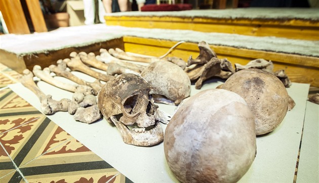 Archeologové vyzvedli ze schránky objevené v kostele olomouckého Kláterního...