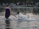 Je důležité psa chválit a povzbuzovat. Čvachtání ve vodě je přece nesmírná...