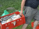 Svitavtí rybái odstraují uhynulé ryby v rybníku Rosnika