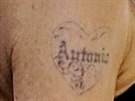 Melanie Griffith tetování Antonio