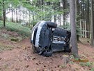 idi neudrel auto na lesn cest, pevrtil se s nm mezi stromy (4. srpna...