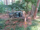 idi neudrel auto na lesn cest, pevrtil se s nm mezi stromy (4. srpna...