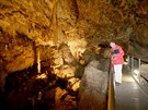 Punkevní jeskyn zdobí rozsáhlá krápníková výzdoba.