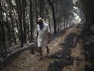 Na jihu Portugalska se rozíil lesní poár, který vypukl v regionu Algarve.