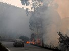 Na jihu Portugalska se rozíil lesní poár, který vypukl v regionu Algarve.