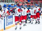 etí hokejisté z týmu do 18 let se radují z gólu v zápase s Finskem.