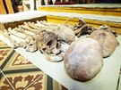 Archeologov vyzvedli ze schrnky objeven v kostele olomouckho Klternho...