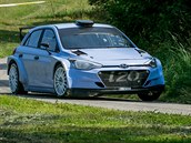 Prbn pt jezdec svtovho ampiontu v rallye WRC a jednoho zvodu na MS...