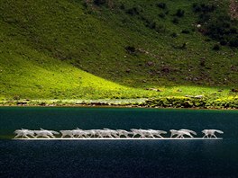 VLÍ SMEKA. Socha výcarských umlc Lary a Oliviera Estoppey na jezee Lac...