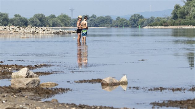Dva chlapci stojí na břehu řeky Dunaje v Bogenu v jižním Německu (1. srpna 2018)